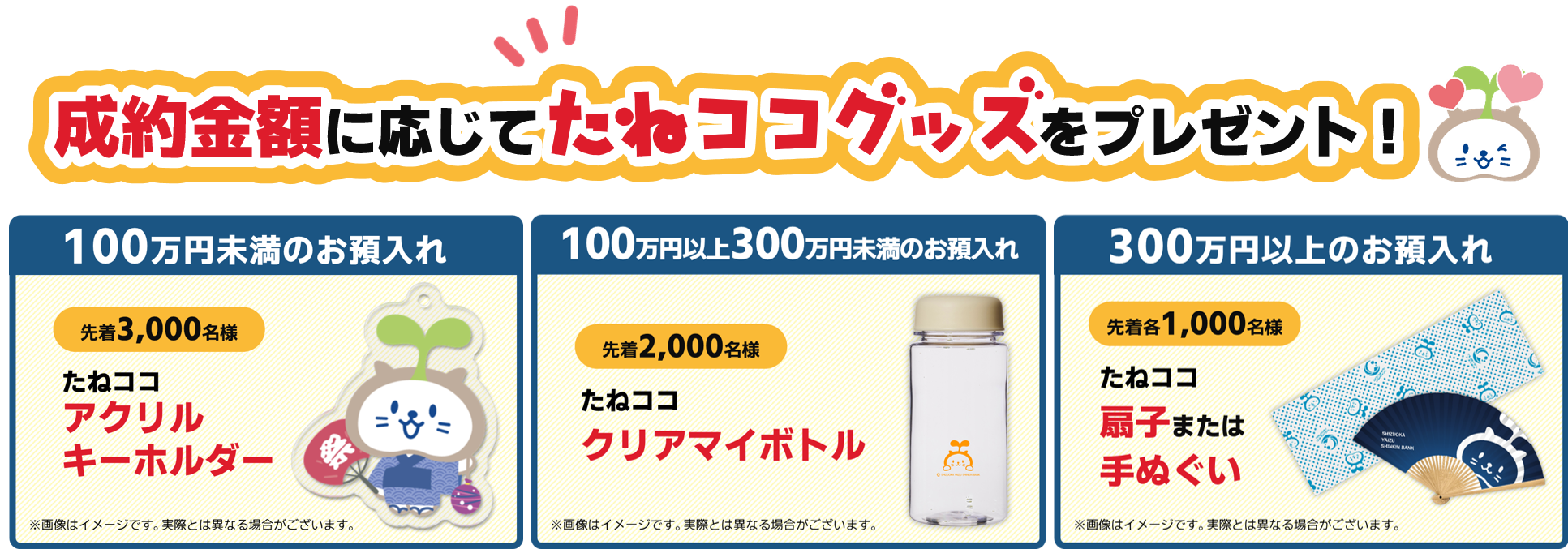 定期預金「たねココ夏まつり」について | しずおか焼津信用金庫